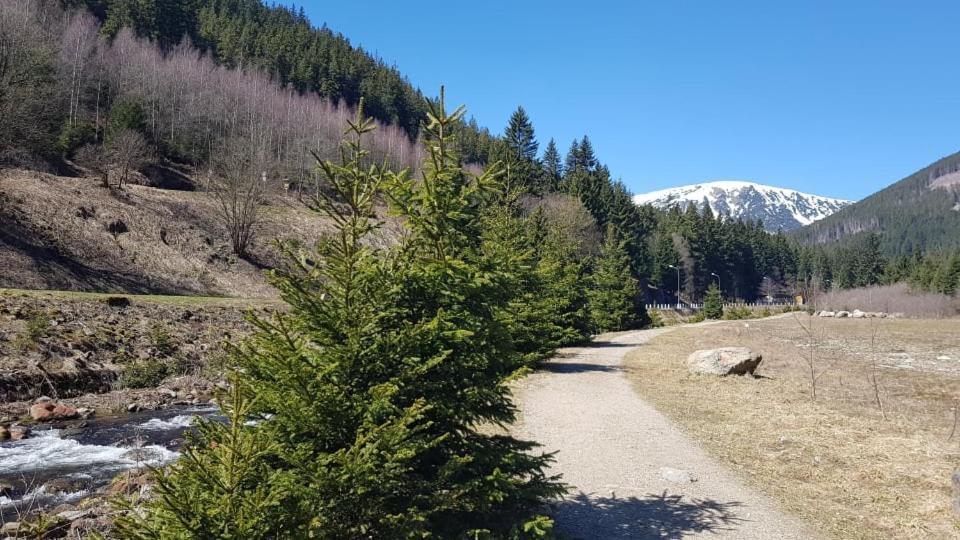 Ubytování v soukromí - Apartmán MERAN Svoboda nad Úpou Esterno foto