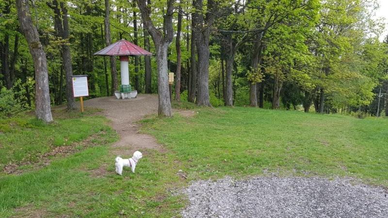 Ubytování v soukromí - Apartmán MERAN Svoboda nad Úpou Esterno foto