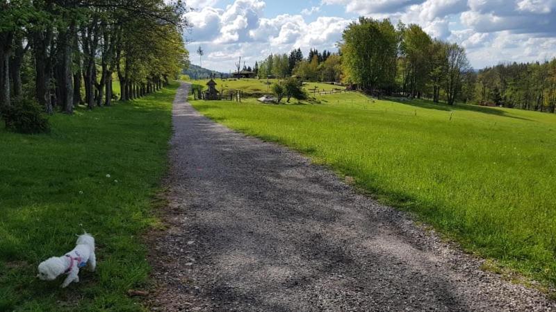 Ubytování v soukromí - Apartmán MERAN Svoboda nad Úpou Esterno foto