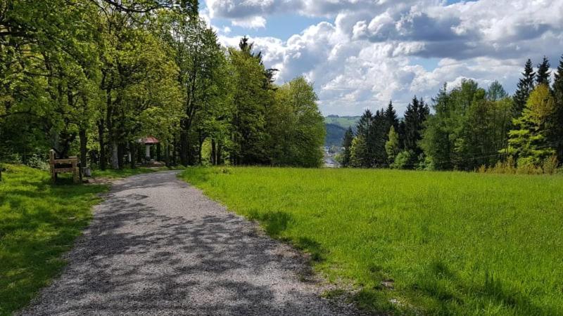 Ubytování v soukromí - Apartmán MERAN Svoboda nad Úpou Esterno foto